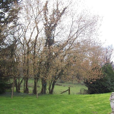 Chateau Champigny Bed & Breakfast Maillet  ภายนอก รูปภาพ