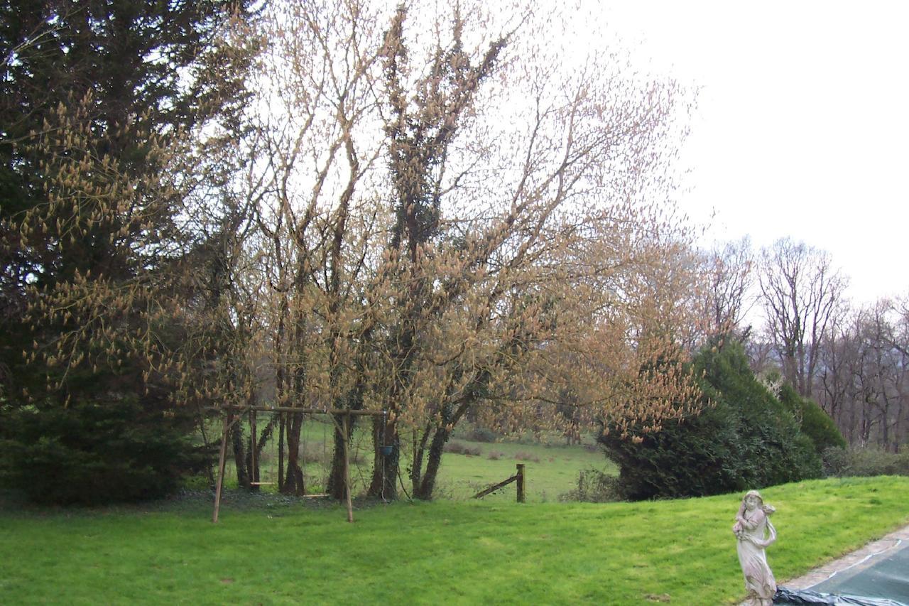 Chateau Champigny Bed & Breakfast Maillet  ภายนอก รูปภาพ